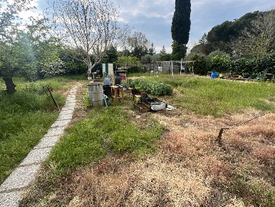 Foto Agriturismo a Piombino di 1200 m² con 1 locali in vendita