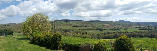 Foto Cessione attività a Orvieto Centro di 3250 m² con 1 locali in vendita