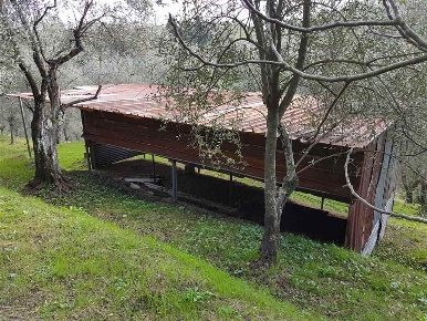 Foto Struttura sanitaria a Camaiore Camaiore Paese di 43 m² con 1 locali
