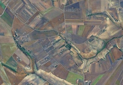 Foto Cessione attività a Altamura con 1 locali in vendita
