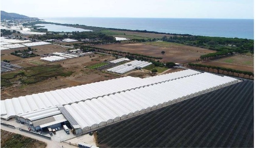 Foto Cessione attività a Fondi di 25000 m² con 1 locali in vendita