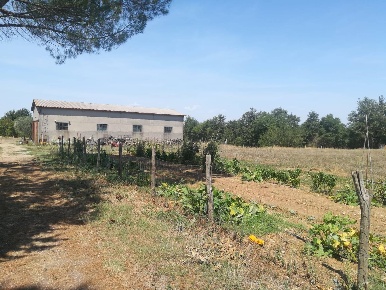 Foto Cessione attività in Pian di Morrano, Pitigliano di 372 m² in vendita