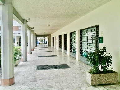 Foto Negozio in viale Sanremo, Spinea Spinea Orgnano di 115 m² con 2 locali