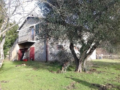Foto Cessione attività a Castiglione d'Orcia Centro di 280 m² con 8 locali