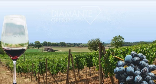 Foto Cessione attività a Montepulciano Centro di 470 m² con 6 locali