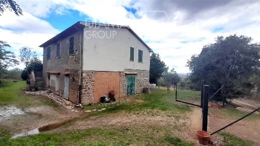 Foto Cessione attività a Scansano Centro di 250 m² con 6 locali in vendita
