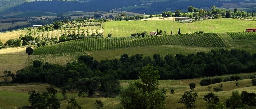 Foto Cessione attività a Scansano di 200 m² con 10 locali in vendita