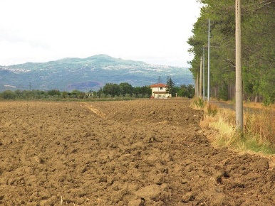 Foto Cessione attività a Grosseto Braccagni di 200 m² in vendita