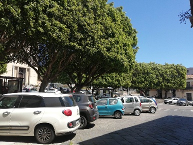 Foto Attività commerciale in P.zza Bonadies 10, Catania Cibali di 40 m²