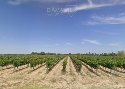 Foto Cessione attività a Arezzo Catona di 490 m² con 4 locali in vendita