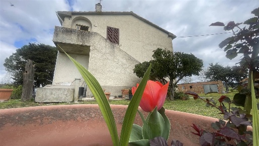 Foto Cessione attività a Civitella Paganico di 150 m² con 5 locali
