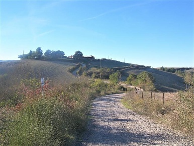 Foto Cessione attività a Allerona Centro di 1950 m² con 1 locali in vendita