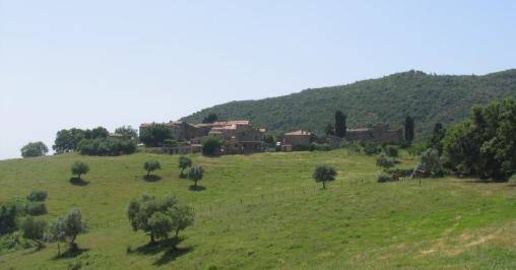 Foto Cessione attività a Castelnuovo di Val di Cecina Centro di 1900 m²
