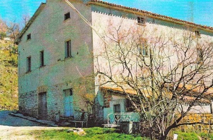 Foto Cessione attività a Gubbio Centro di 300 m² in vendita