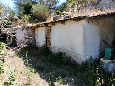 Foto Struttura sanitaria in Castell D'asso  Snc, Viterbo di 36 m²