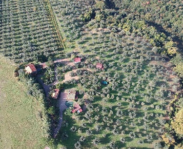 Foto Agriturismo a Roccastrada di 245 m² con 15 locali in vendita