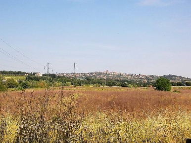 Foto Cessione attività a Foiano della Chiana Centro con 1 locali in vendita