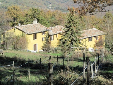 Foto Cessione attività a Montieri di 692 m² con 19 locali in vendita