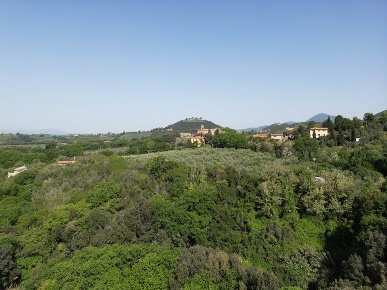Foto Struttura sanitaria in Strada Provinciale 48 snc, Roccantica di 50 m²