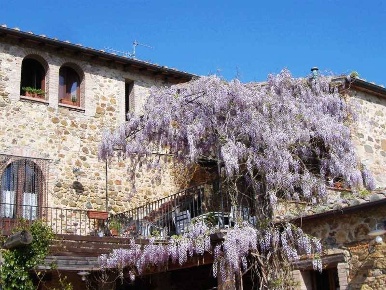 Foto Agriturismo a Cinigiano Centro di 550 m² con 1 locali in vendita