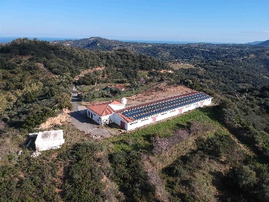 Foto Struttura sanitaria a Loceri di 33000 m² con 1 locali in vendita