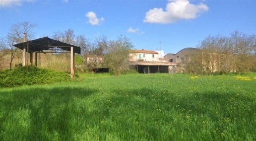 Foto Cessione attività a Rosignano Marittimo Rosignano Marittimo Paese