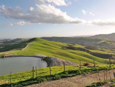Foto Cessione attività a Asciano Centro in vendita
