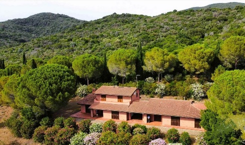 Foto Cessione attività a Castiglione della Pescaia di 505 m² con 10 locali