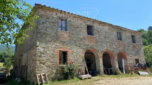 Foto Cessione attività a Subbiano con 16 locali in vendita
