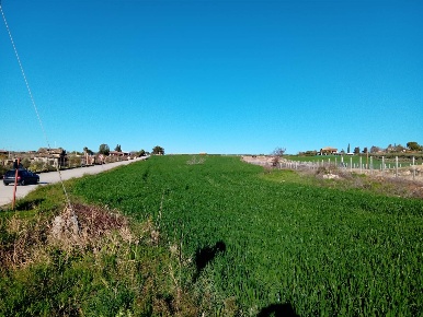 Foto Agriturismo a Campobello di Licata di 22000 m² con 1 locali in vendita