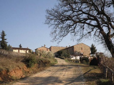 Foto Agriturismo a Murlo Vescovado di 3100 m² in vendita