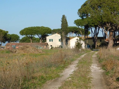 Foto Cessione attività a Grosseto La Principina di 715 m² con 24 locali