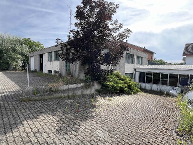 Foto Laboratorio in via novi, Basaluzzo di 561 m² con 3 locali in vendita