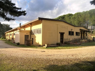 Foto Cessione attività a Baschi Centro di 2390 m² con 1 locali in vendita