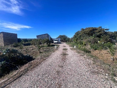 Foto Cessione attività in CONTRADA VIGNA PRENCIPE, Francofonte di 65030 m²