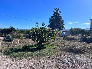 Foto Cessione attività in CONTRADA VIGNA PRENCIPE, Francofonte di 65030 m²