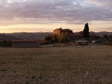 Foto Cessione attività a Roccalbegna Cana di 600 m² con 30 locali