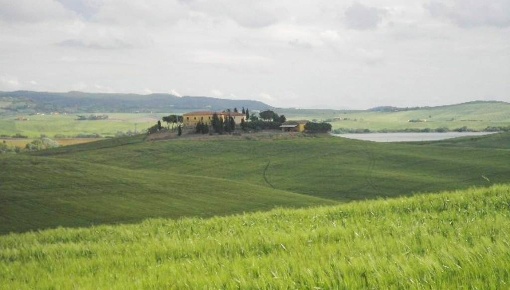 Foto Cessione attività a Santa Luce di 1850 m² in vendita