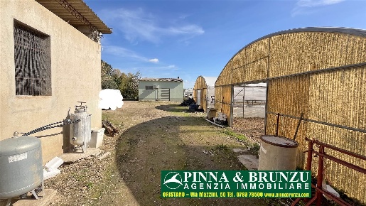 Foto Cessione attività a Siamaggiore di 12000 m² con 2 locali in vendita