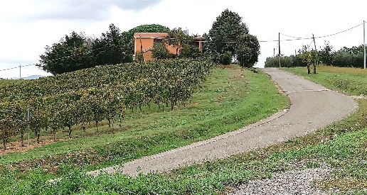 Foto Cessione attività in ZONA SANT'ANDREA, Magliano in Toscana di 570 m²