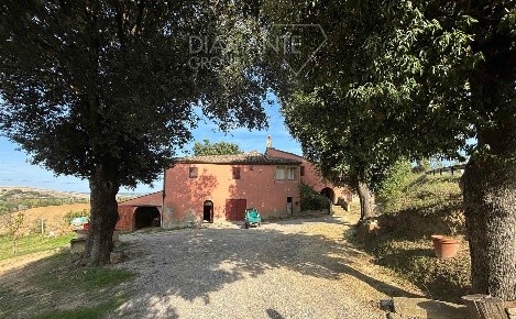 Foto Cessione attività a Montalcino con 6 locali in vendita