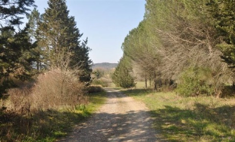 Foto Cessione attività in Strada r. 68, Montecatini Val di Cecina di 160 m²