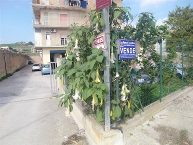 Foto Magazzino in Viale siena 19, Sciacca di 140 m² in vendita
