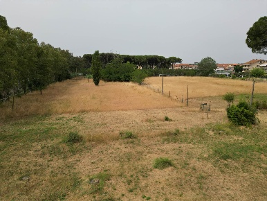 Foto Attività commerciale in Via Aurelia  324, Vecchiano di 80 m²