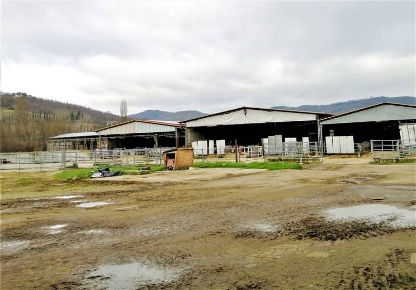 Foto Cessione attività a Umbertide Centro di 13576 m² con 1 locali