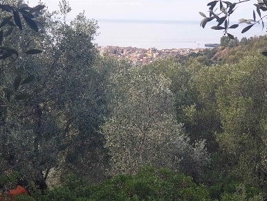 Foto Agriturismo a Camerota Monte Di Luna di 1950 m² con 1 locali