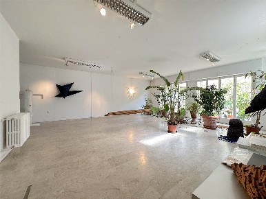Foto Locale commerciale a Firenze Mazzini - Oberdan di 400 m² con 6 locali