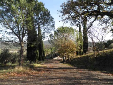 Foto Cessione attività a Pomarance di 5450 m² in vendita