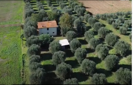 Foto Cessione attività in ZONA CAMPAGNATICO, Campagnatico di 205 m²