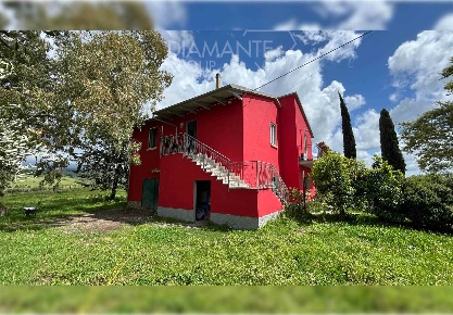 Foto Cessione attività a Scansano Centro di 540 m² con 6 locali in vendita
